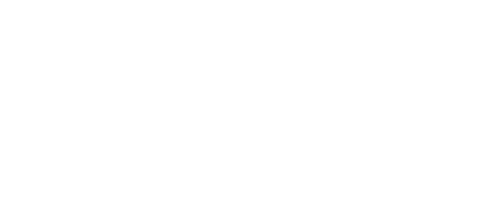 Washburn Guitars